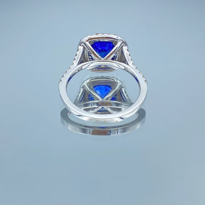 Double Halo Sapphire and Diamond Ring in 14K White Gold - L and L Jewelry