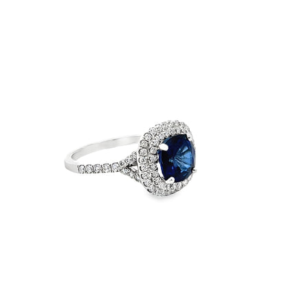 Double Halo Sapphire and Diamond Ring in 14K White Gold