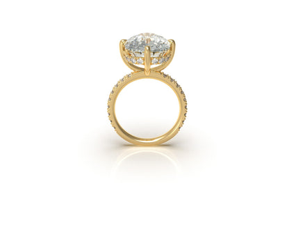 Dani Austin's Elongated Cushion Engagement Ring