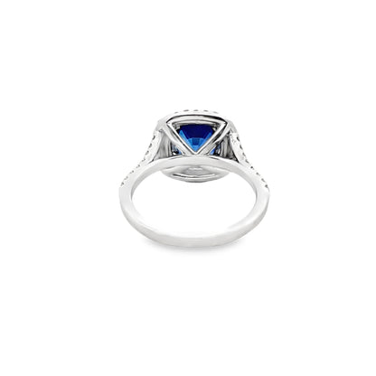 Double Halo Sapphire and Diamond Ring in 14K White Gold