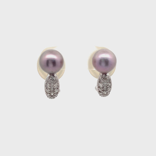 Pave Diamonds and Tahitian Pearl Earrings with Omega Back in 14K White Gold